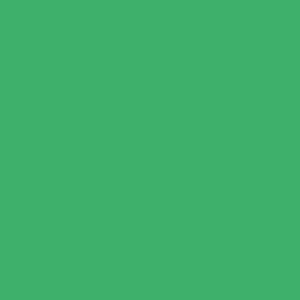 Bandeira verde