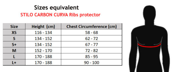 STILO CARBON CURVA HOMOLOGATED FIA BODY PROTECTION - Image 4